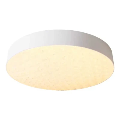 Griestu lampa LIZA